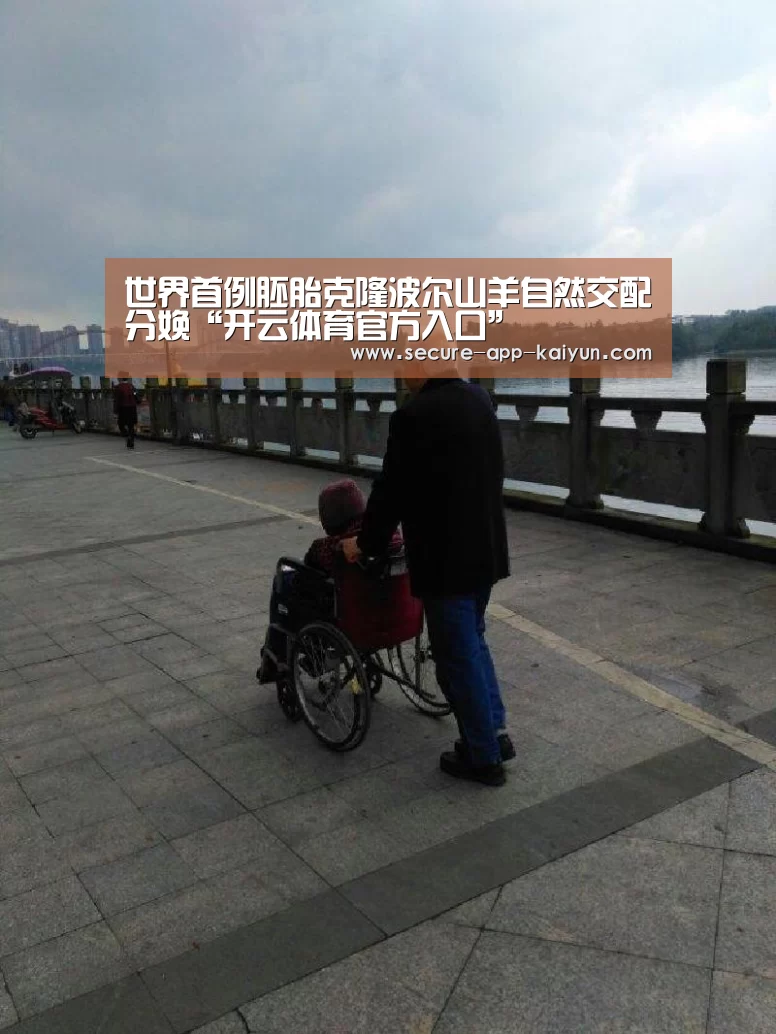 开云体育官方入口