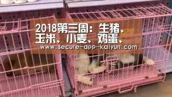 2018第三周:生猪、玉米、小麦、鸡蛋、肉鸡、大豆、白糖重要消息【开云体育官方入口】(图1) 开云体育官方入口