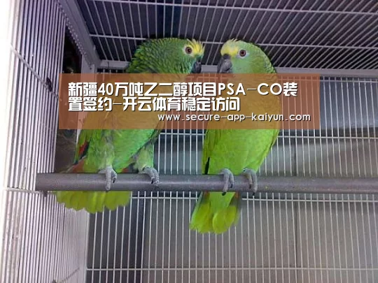 新疆40万吨乙二醇项目PSA-CO装置签约-开云体育稳定访问