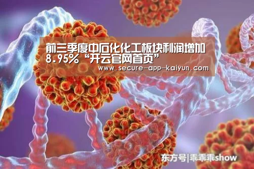 前三季度中石化化工板块利润增加8.95%“开云官网首页”
