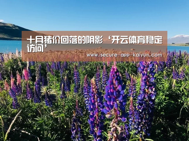 十月猪价回落的阴影‘开云体育稳定访问’(图4) 开云体育稳定访问