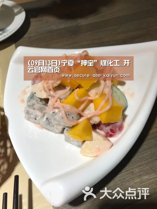 (09月13日)宁夏“押宝”煤化工_开云官网首页(图2) 开云体育官方入口