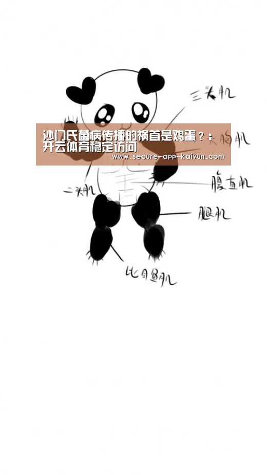 KAIYUN SPORTS